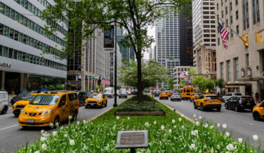 New York City Wants to Redesign Park Avenue. Here’s How It Might Look.