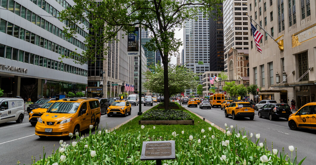 New York City Wants to Redesign Park Avenue. Here’s How It Might Look.