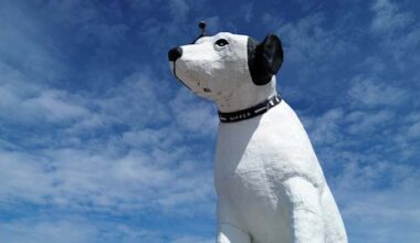 Nipper, stay! The future of a beloved dog statue on a New York warehouse is up in the air