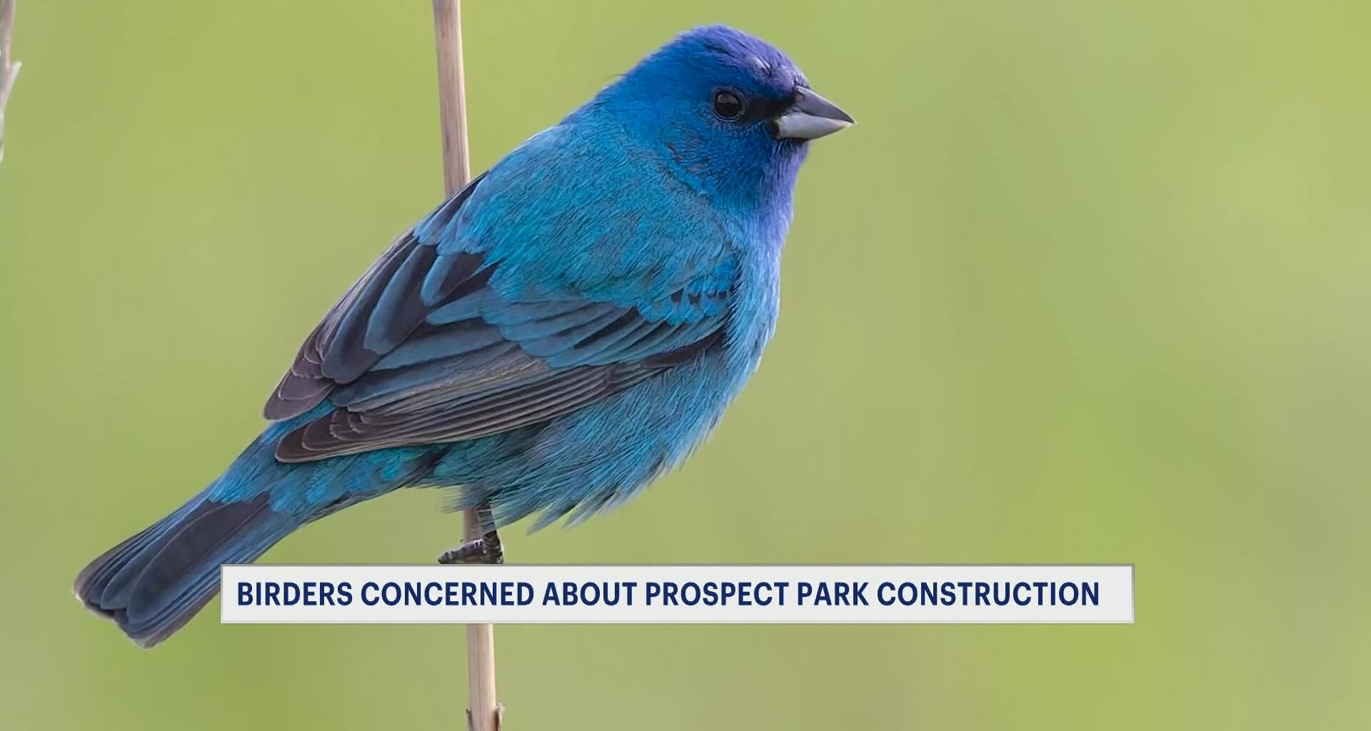 teenrobbedofjacketCM_2026-04-13-17-35-37