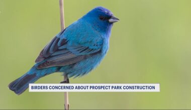 teenrobbedofjacketCM_2026-04-13-17-35-37