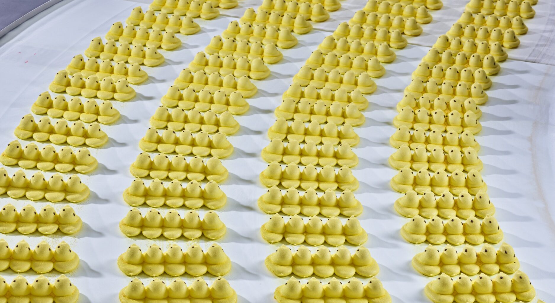 Christopher Payne, PEEPS Marshmallow Chicks cooling on a conveyor belt before being packaged, 2023. Digital pigment print, 40 × 30 inches. Courtesy the artist and Cooper Hewitt.