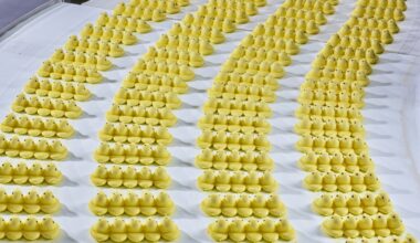 Christopher Payne, PEEPS Marshmallow Chicks cooling on a conveyor belt before being packaged, 2023. Digital pigment print, 40 × 30 inches. Courtesy the artist and Cooper Hewitt.