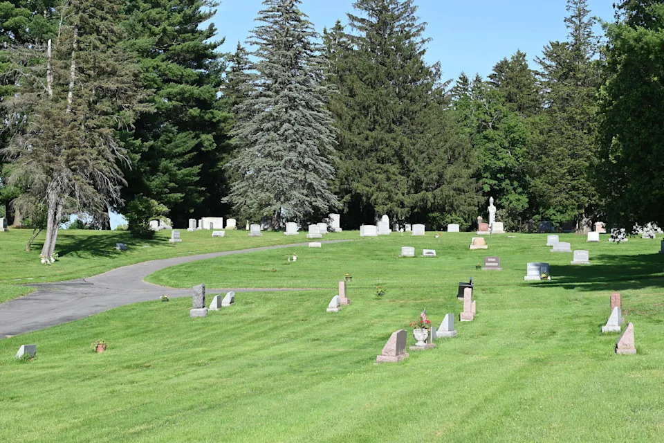 A grassy cemetery
