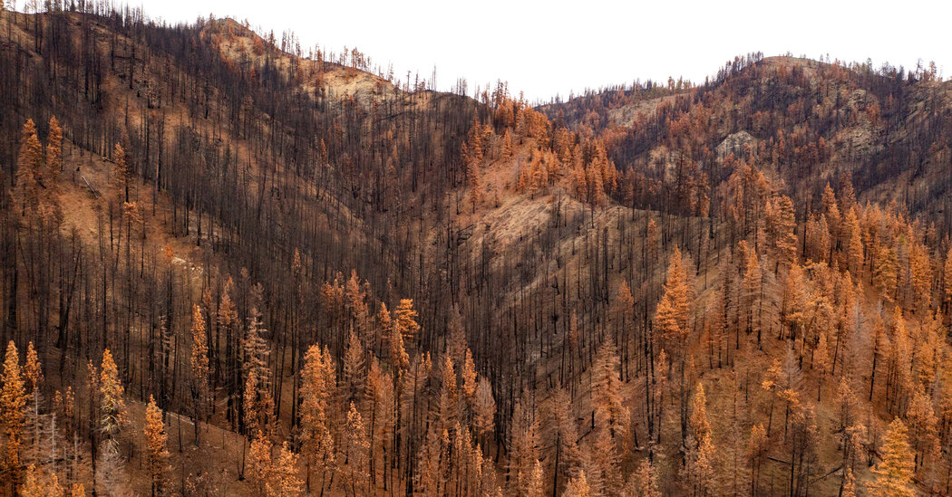 Forest Service Research Labs Are Closing