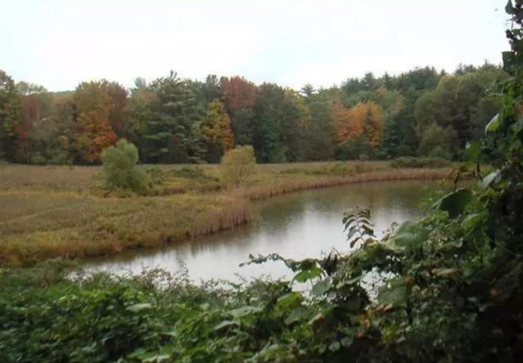 Their upstate home is set on 124 acres in Marbletown, Ulster County, which Weisz purchased for $2.1 million in 2008. Corcoran Group