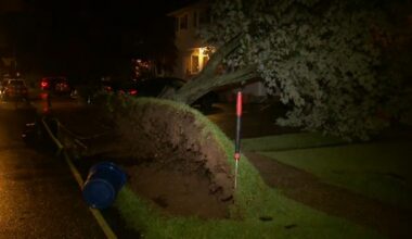 NYC Weather: Severe storms cause damage across New York area