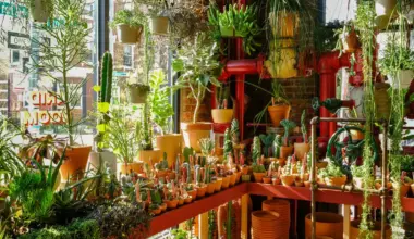 Christan Summers and Ivan Martinez, co-owners of Tula House, a plant shop in Brooklyn, say rising costs and shifting demand are reshaping their business.