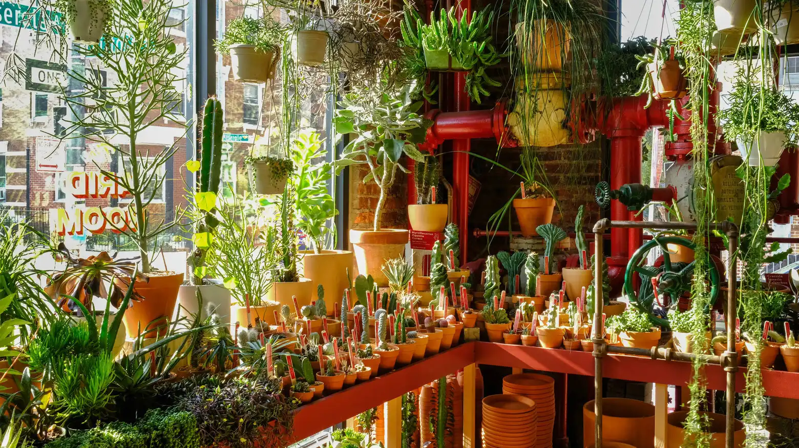 Christan Summers and Ivan Martinez, co-owners of Tula House, a plant shop in Brooklyn, say rising costs and shifting demand are reshaping their business.