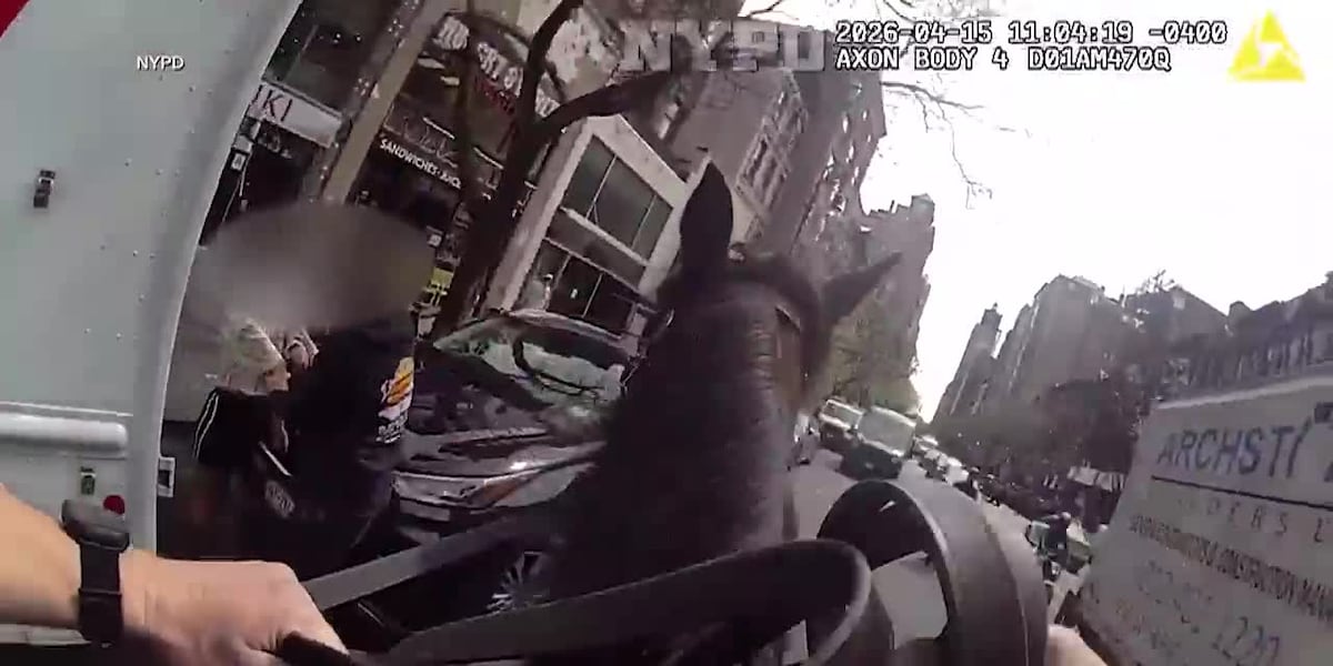 Mounted New York police officer and his horse corner suspected purse snatcher