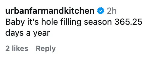 Instagram comment: "Baby it's hole filling season 365.25 days a year" with 2 likes and a reply option