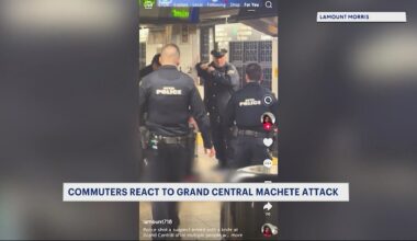 be3049e8-3cbd-4338-a8ff-7651e9aec531