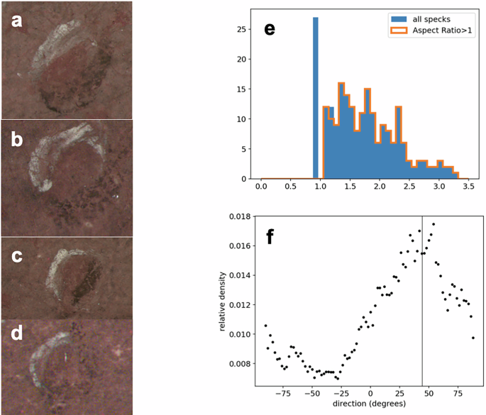 Fig. 4: The geometry of the speckles.