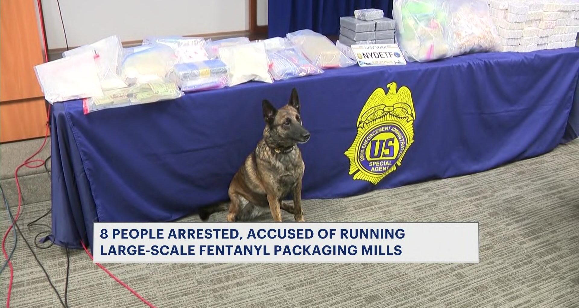 News 12 | Brooklyn | K 9 Exposed During Major Fentanyl Raid In Bronx And Washington Heights