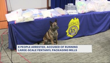 News 12 | Brooklyn | K 9 Exposed During Major Fentanyl Raid In Bronx And Washington Heights