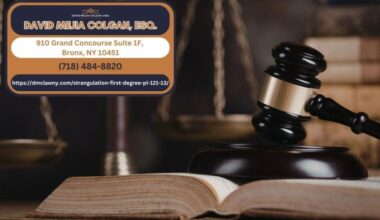 Bronx Domestic Violence Defense Attorney David Mejia Colgan