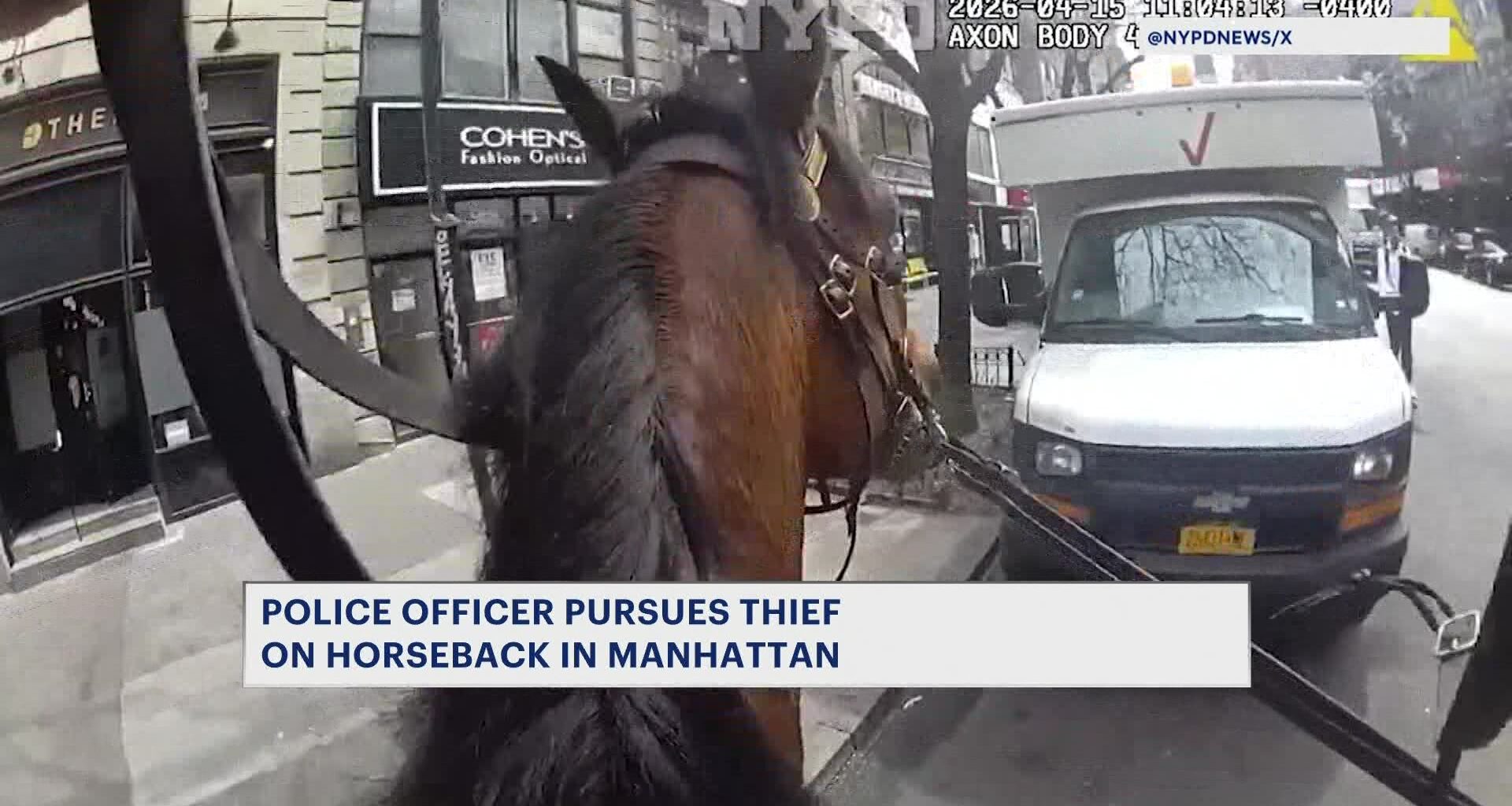 News 12 | Brooklyn | Nypd Officer On Horse Chases Down Purse Snatcher In Manhattan