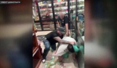 Punches thrown during Brooklyn man's wrongful arrest "were excessive," police expert says