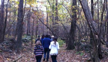 Best of Brooklyn: Great Spots to Take a Long Walk