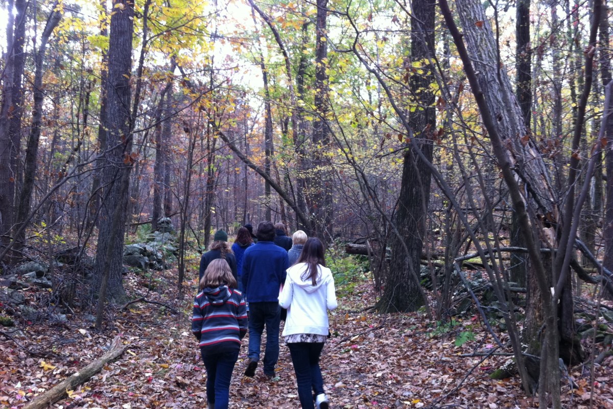 Best of Brooklyn: Great Spots to Take a Long Walk