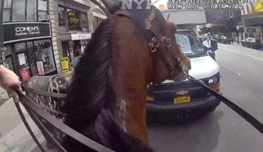 Mounted New York police officer and his horse corner suspected purse snatcher in Manhattan :: WRAL.com