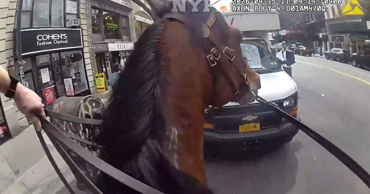 Mounted New York police officer and his horse corner suspected purse snatcher in Manhattan :: WRAL.com