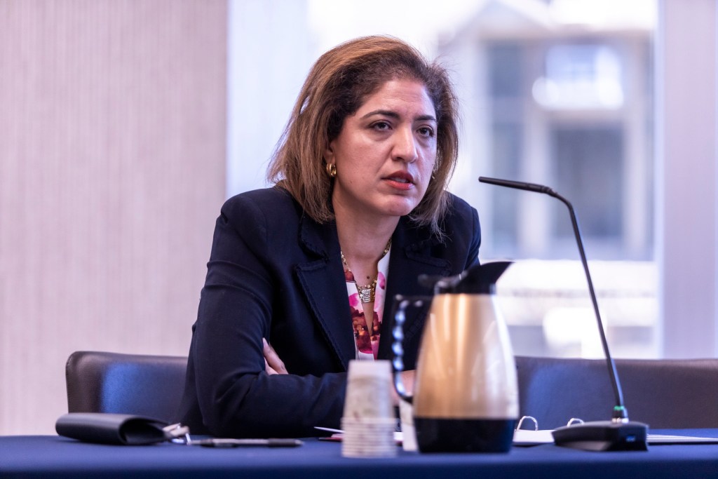 Nadia Shihata, Mayor Mamdani's appointee to head the Department of Investigations, is grilled by member's of the City Council's Committee on Rules, Privileges, Elections, Standards and Ethics on April 6, 2026.