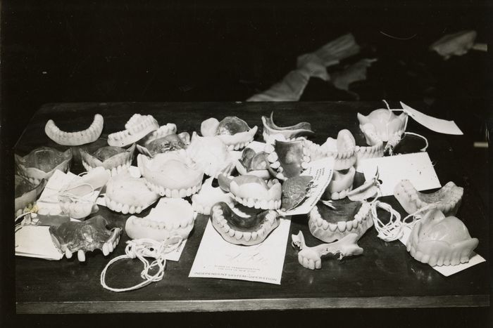 Mmm-hmm. Those sure are a lot of teeth.