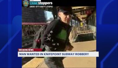 News 12 | Bronx | Police Release Photos Of Subway Chain Snatcher In Mount Hope