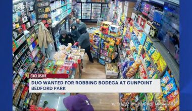 News 12 | Brooklyn | Robbery Turns Violent In Bedford Park As Suspects Flee