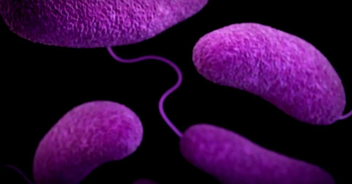 Flesh-eating bacteria concerns in Long Island waters are growing. Here's why.