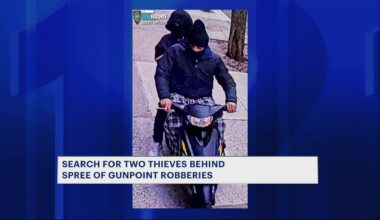 News 12 | Bronx | Moped Riding Duo Wanted For Chain Snatching Spree