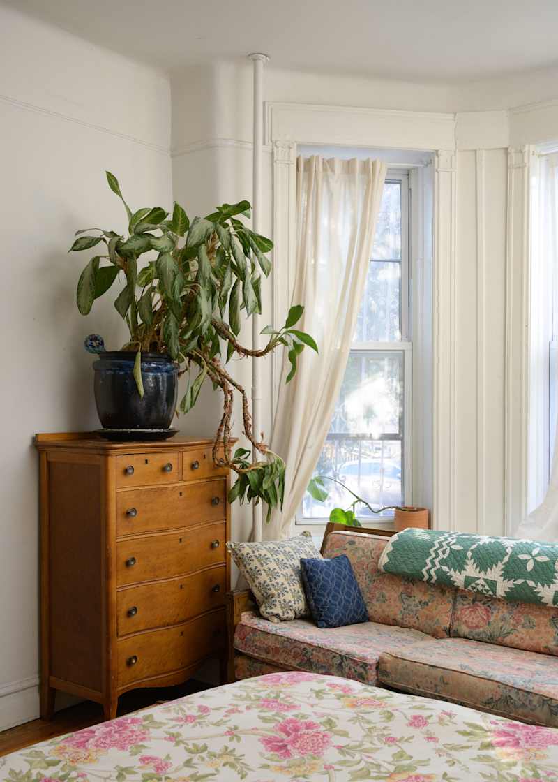 Cozy living space featuring a floral sofa with decorative pillows, a wooden dresser, and a large potted plant by the window.