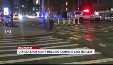 News 12 | Brooklyn | Police shoot man with kitchen knife terrorizing grocery store in Harlem