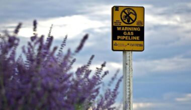 Trump officials tout New York pipeline project opposed by green groups | New York