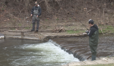 Trout Season in New York State Starts April 1 | News