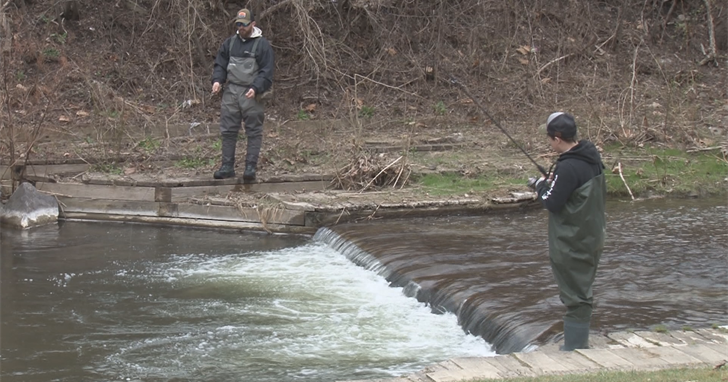 Trout Season in New York State Starts April 1 | News