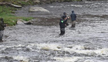 Trout season opens in New York State | Top Stories