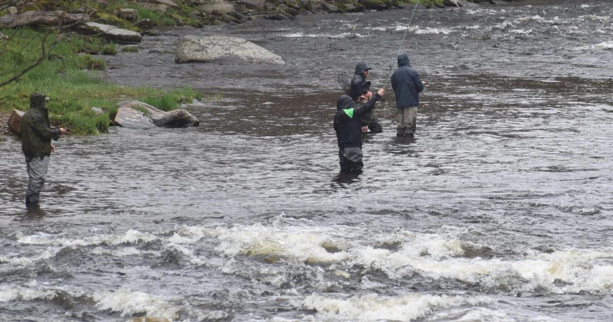 Trout season opens in New York State | Top Stories