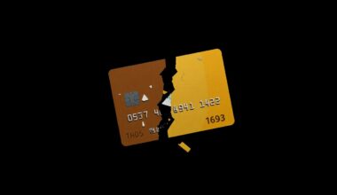 An extreme close-up photograph of a shredded credit card, the harsh lighting and dark background creating a gritty, investigative aesthetic to conceptually represent the financial crimes at the heart of this story.