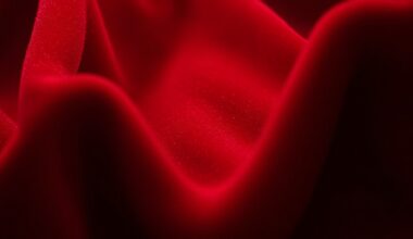 An extreme close-up photograph of a rich, velvety red fabric with dramatic shadows and highlights, conveying the luxurious yet precarious nature of live television fashion.