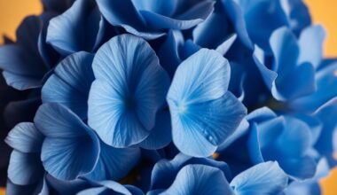 An extreme close-up photograph of a bouquet of vibrant blue hydrangea flowers, their delicate petals capturing the soft, warm light of a studio setting and creating a sense of luxury and intimacy.