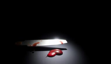 An extreme close-up photograph of a bloody knife against a pitch-black background, capturing the gritty, investigative nature of the crime scene.
