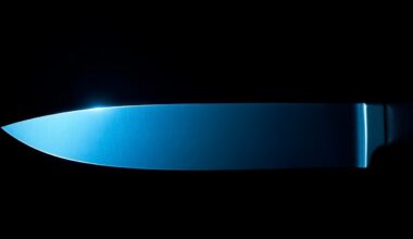 An extreme close-up of a single knife blade against a stark black background, lit by a harsh camera flash, conceptually representing the violence of the crime without depicting any actual victims or gore.