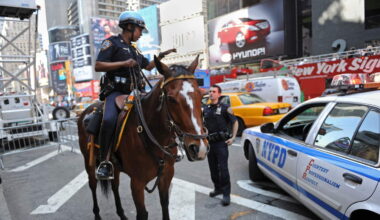 NYPD Officer on Horseback Chases Down Purse Snatcher Through Manhattan