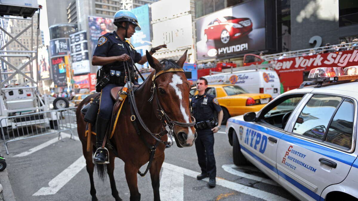 NYPD Officer on Horseback Chases Down Purse Snatcher Through Manhattan