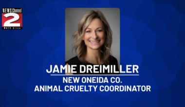 404 Animal Seizures Lead Oneida County to Hire Cruelty Coordinator | News