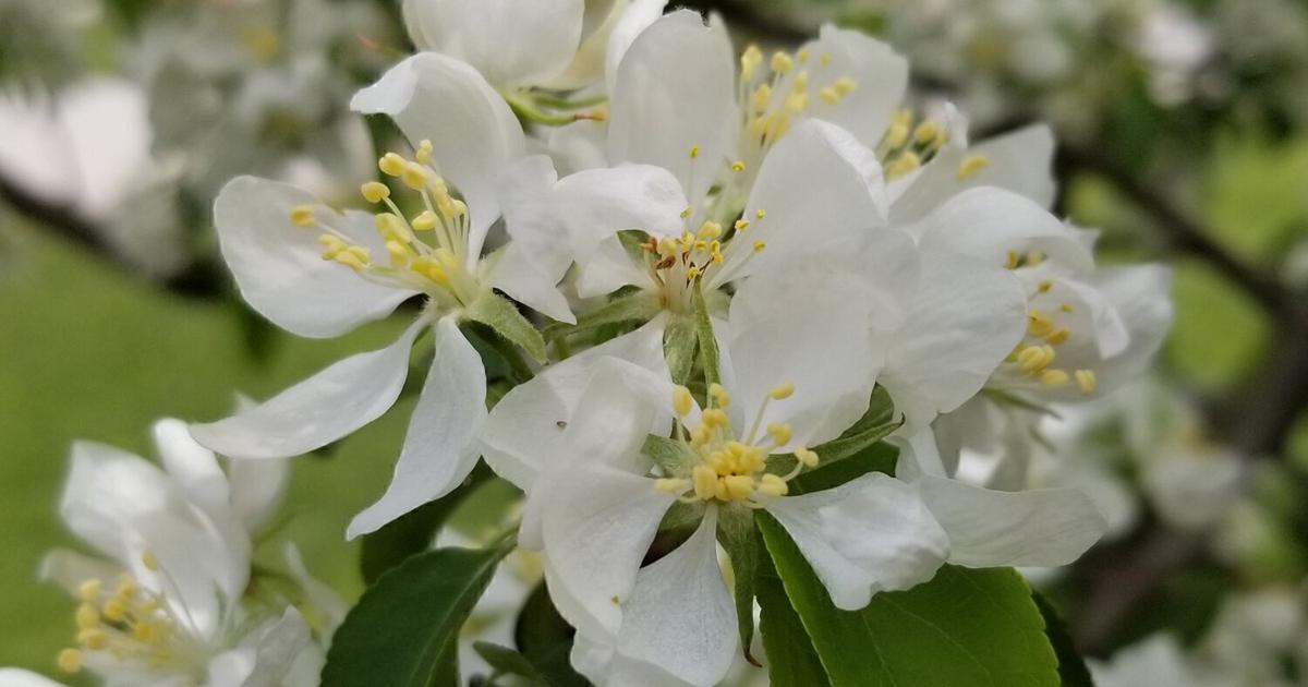 Sidney Coy, 29, of Brooklyn, Wisconsin, Travis-Noe Funeral Home | Obituaries