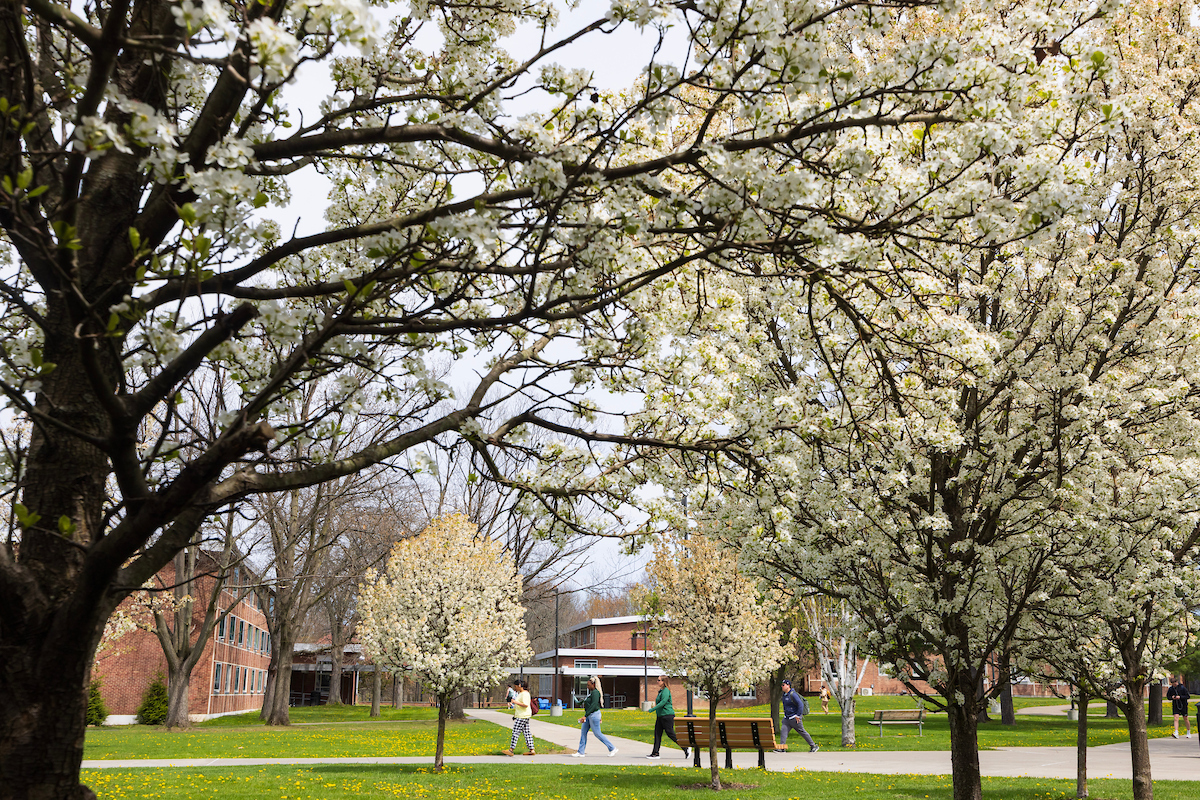 Growing impact: Binghamton University generates $1.79 billion for New York state