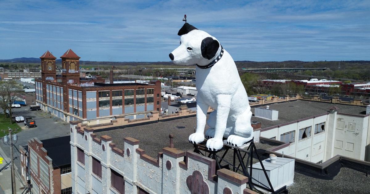 Nipper, Stay! Future of A Beloved Dog Statue on A New York Warehouse Is up In the Air | State